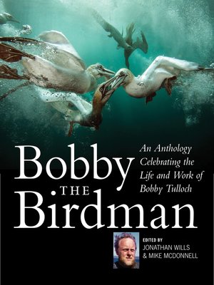 cover image of Bobby the Birdman